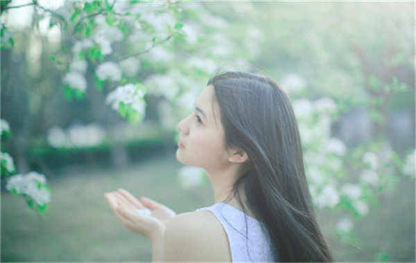 道滘镇验血查男女几周可以验(验血查男女结果图)